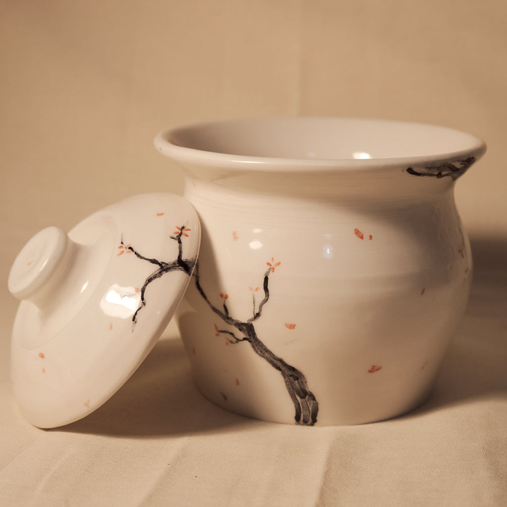 Contenitore con Coperchio