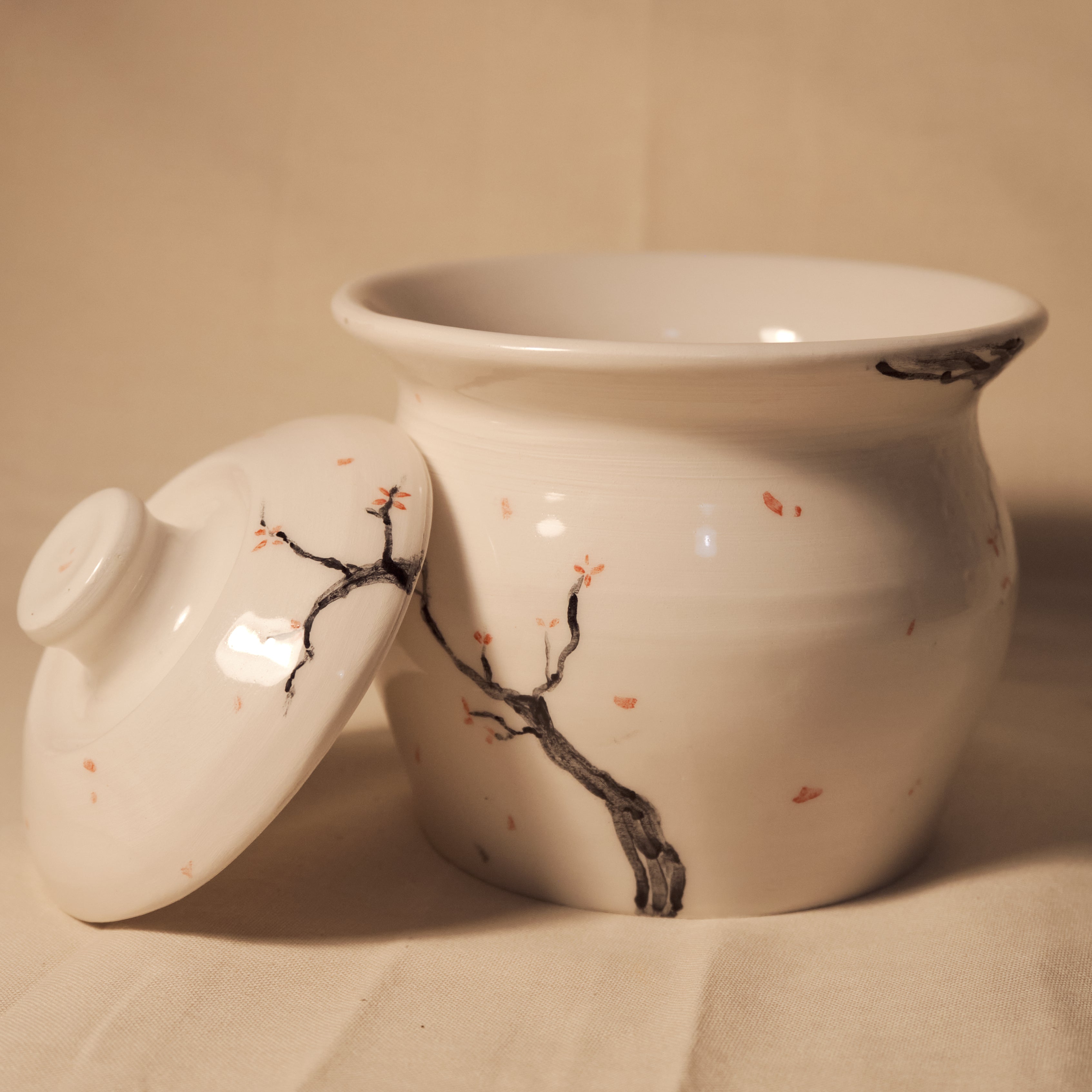 Contenitore con Coperchio