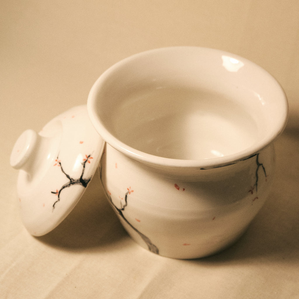 Contenitore con Coperchio