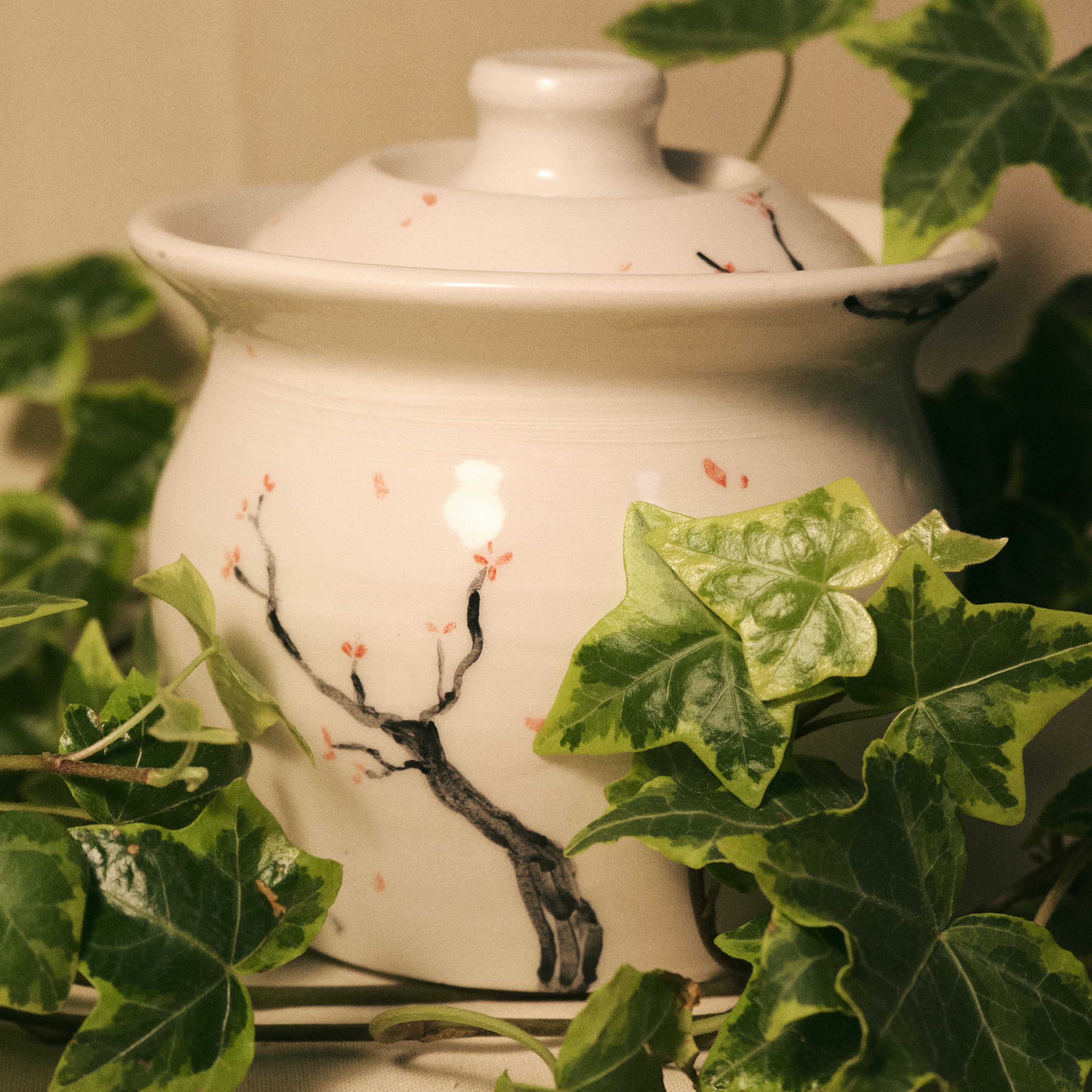 Contenitore con Coperchio